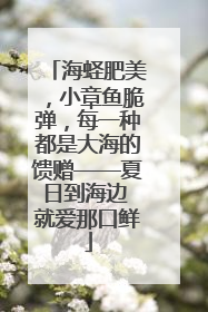 海蛏肥美，小章鱼脆弹，每一种都是大海的馈赠——夏日到海边 就爱那口鲜